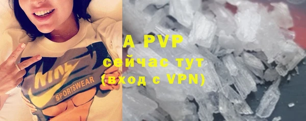 стаф Михайлов