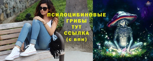 apvp Михайловка